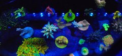 IMG_20221001_184726_1.jpg
