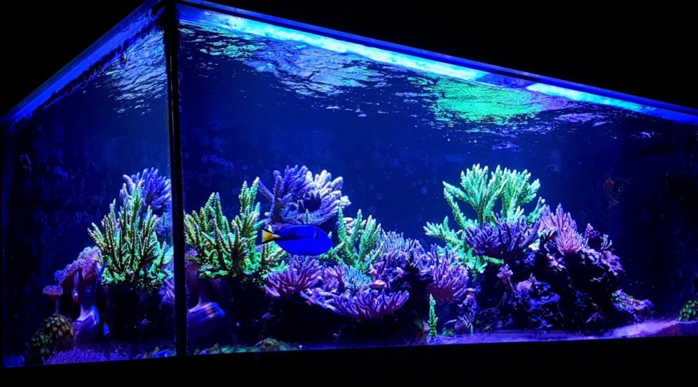 20230107_170011 Duży.jpeg