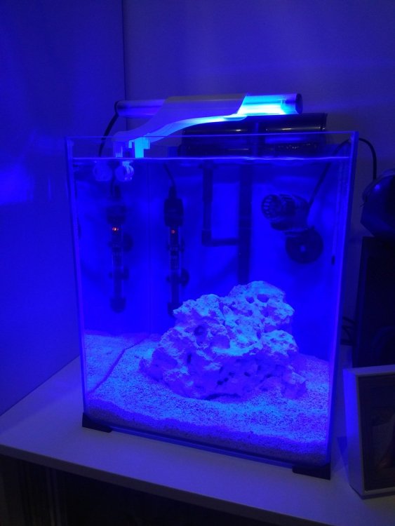 zdj blue_Easy-Resize.com.jpg