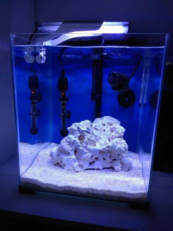 zdj blu white_Easy-Resize.com.jpg