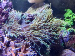 IMG_20230115_181822.jpg