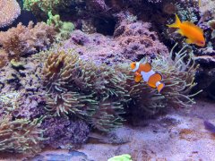 IMG_20230115_181832.jpg