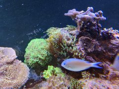 IMG_20230115_182151.jpg