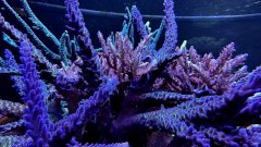 IMG_4090.jpg
