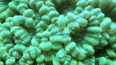 IMG_4093.jpg