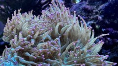 IMG_4097.jpg