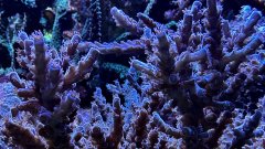 IMG_4098.jpg