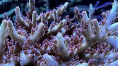 IMG_4099.jpg