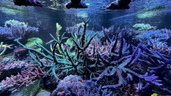 IMG_4104.jpg