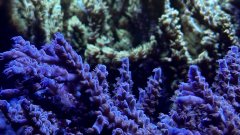 IMG_4116.jpg