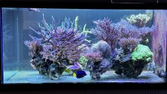 IMG_4124.jpg