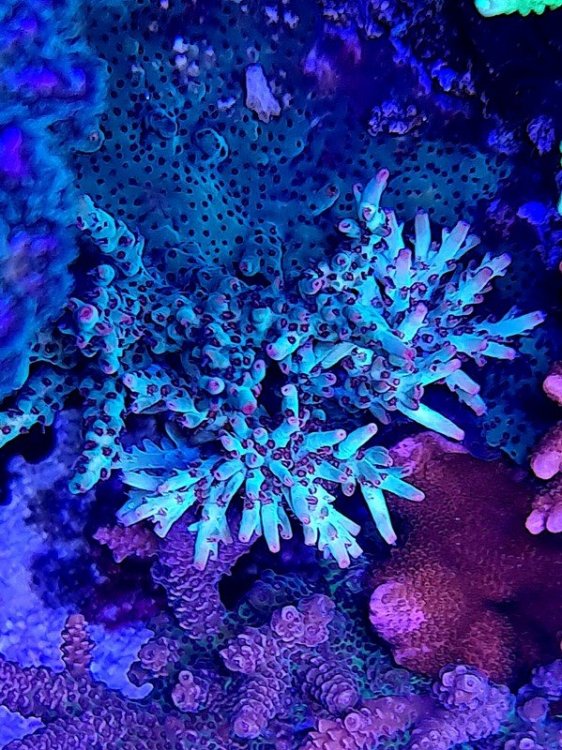 20230625_120900.jpg