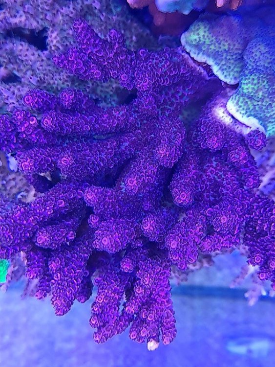 20230625_121004.jpg
