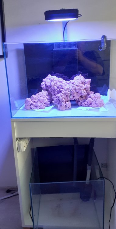 20230725_193936 (2).jpg