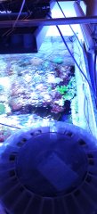 20231002_182751.jpg