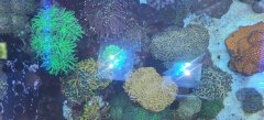 20231126_091751.jpg