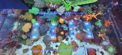 20231126_091847.jpg