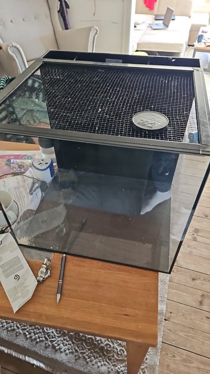 Zdjęcie WhatsApp 2023-11-28 o 14.12.49_907e14ed.jpg