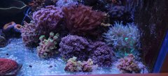 20231224_135731.jpg