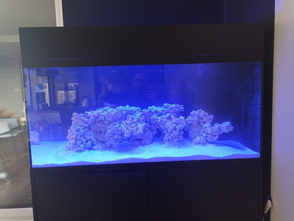 Zdjęcie WhatsApp 2024-03-25 o 14.03.46_2302bee3.jpg