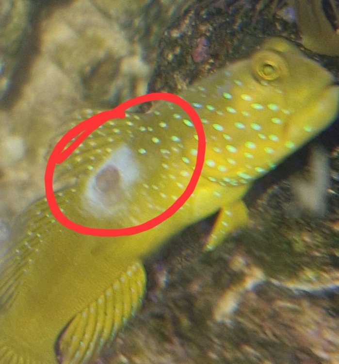 20240805_210114 1.jpg