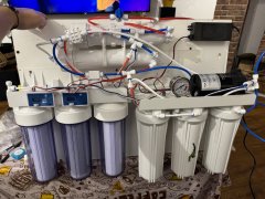 IMG_2706 (Średni).JPG