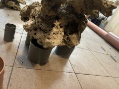 IMG_2663 (Średni).JPG