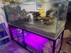 IMG_2749 (Średni).JPG