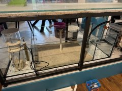 IMG_2642 (Średni).JPG