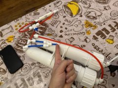 IMG_2683 (Średni).JPG