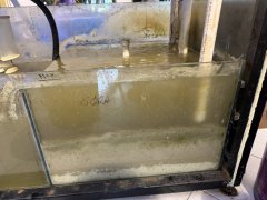 IMG_2463 (Średni).JPG