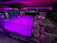 IMG_2750 (Średni).JPG