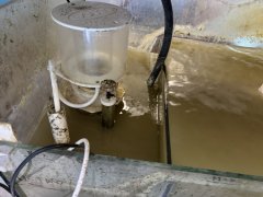 IMG_2461 (Średni).JPG