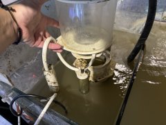 IMG_2473 (Średni).JPG