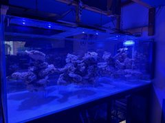 IMG_2746 (Średni).JPG