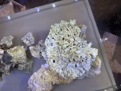 IMG_2754 (Średni).JPG