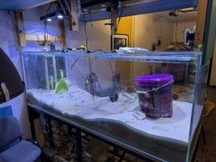 IMG_2474 (Średni).JPG