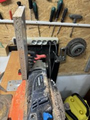 IMG_2688 (Średni).JPG