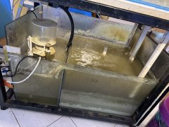 IMG_2471 (Średni).JPG