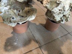 IMG_2662 (Średni).JPG