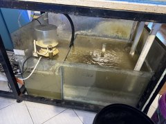 IMG_2460 (Średni).JPG