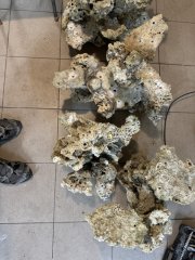 IMG_2647 (Średni).JPG