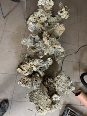 IMG_2645 (Średni).JPG