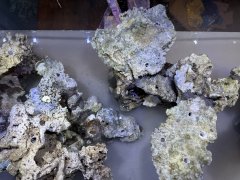 IMG_2756 (Średni).JPG