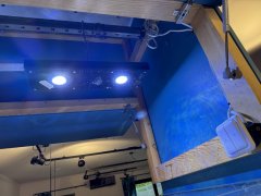 IMG_2466 (Średni).JPG