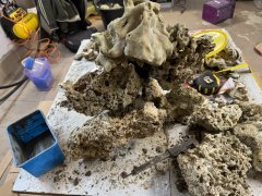 IMG_2648 (Średni).JPG