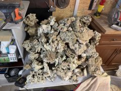 IMG_2539 (Średni).JPG