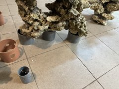 IMG_2664 (Średni).JPG