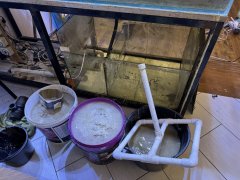 IMG_2475 (Średni).JPG