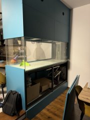 IMG_2540 (Średni).JPG